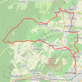 Bacchus - Molsheim GPS track, route, trail