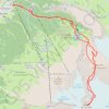 Aiguille des Grands Montets : Par le glacier des Rognons GPS track, route, trail