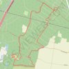 Run du matin en forêt de Neuland - Colmar GPS track, route, trail