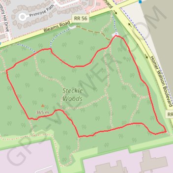 Steckle Woods Loop GPS track, route, trail